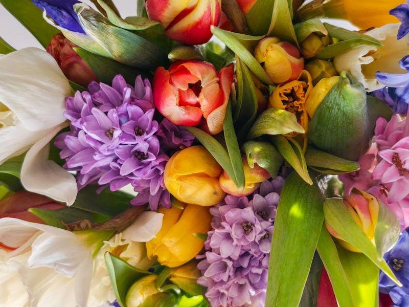 Plante verte et succulente en pot décoratif
